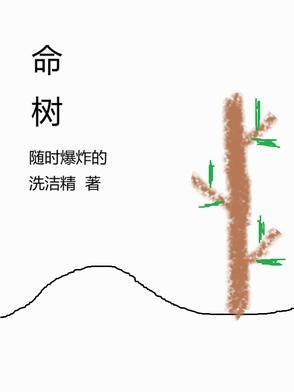 肖战探班杨紫生命树