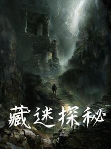 藏迷探秘TXT