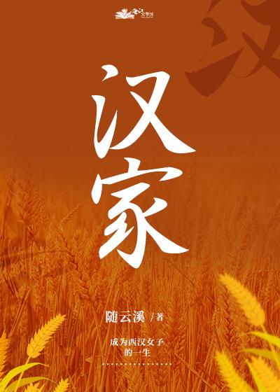 汉家的意思