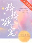 婚婚欲宠笔趣