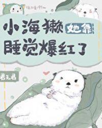 小海獭她靠睡觉爆红了37