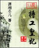 11处特工皇妃什么时候写的