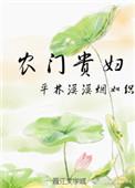 农门贵妇讲的什么