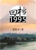 2.回档1995