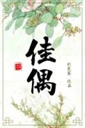 佳偶天成宜室宜家是什么意思