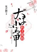 重生后太子扒了我的小马甲双洁吗