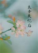丞相夫人番外
