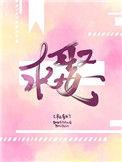 短剧新郎休妻