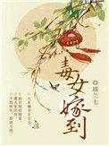 毒女嫁到电视剧