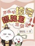 不小心撩弯了摄政王怎么办糯唧叽