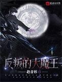 反叛的大魔王番外