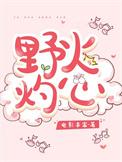 野火emwin