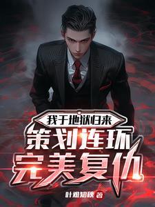 策划连环完美复仇最新