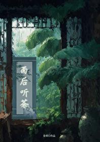 雨后听茶穿书免费
